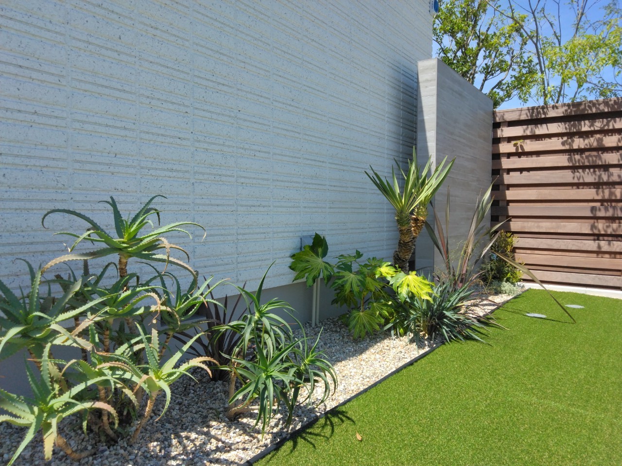 造園アプローチ：美しい植物の選び方